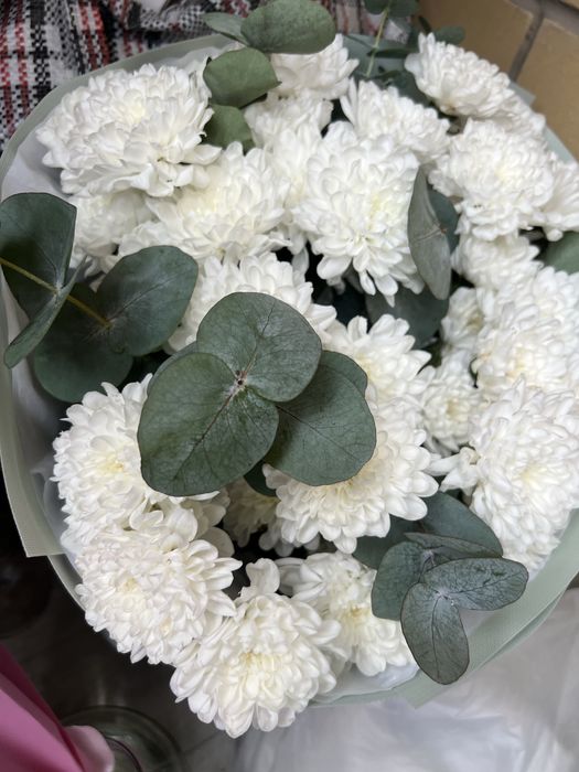 свежие букеты хризантем