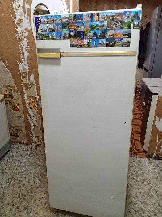 Холодильник бирюса