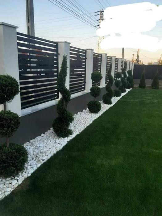 Leylandii 1.5m - 4m gard viu verde veșnic, gazon rulou sport !