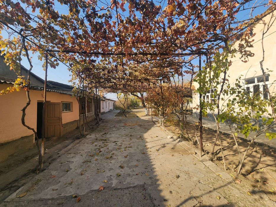 Продажа недвижимости земли