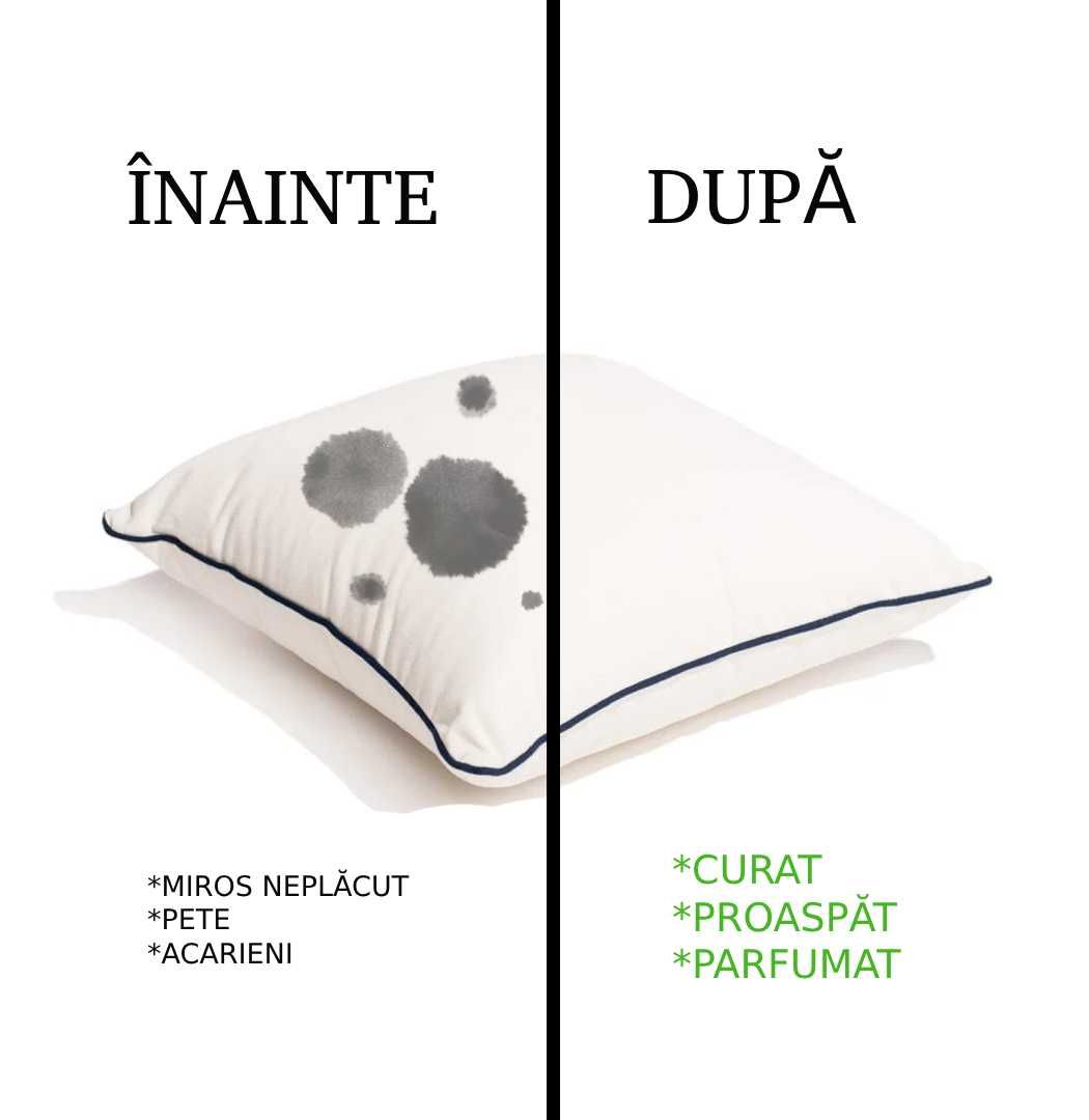 Curățare, spălare, igienizare canapele, fotolii, auto!