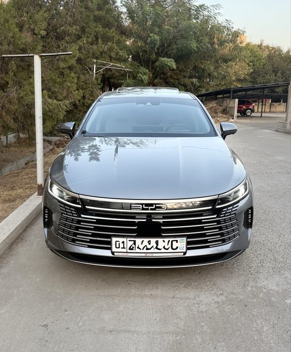 BYD Chazor Full 120 km 2023/24