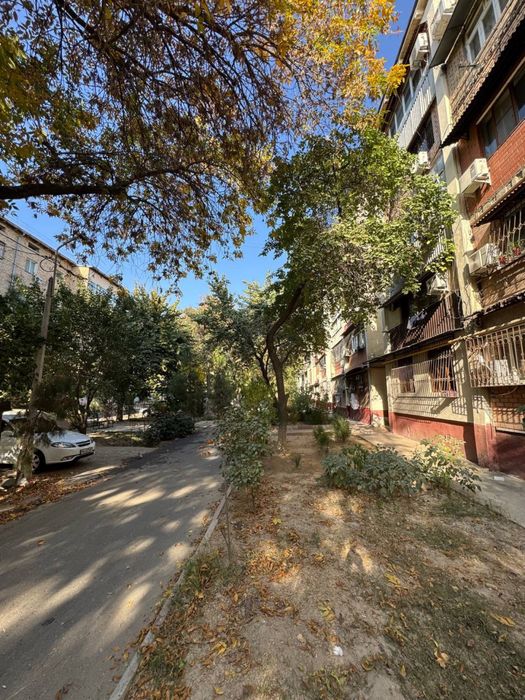 ЭКО базар Мирзо Улугбекская ор-р Перекрёсток Чимган  2/2/5