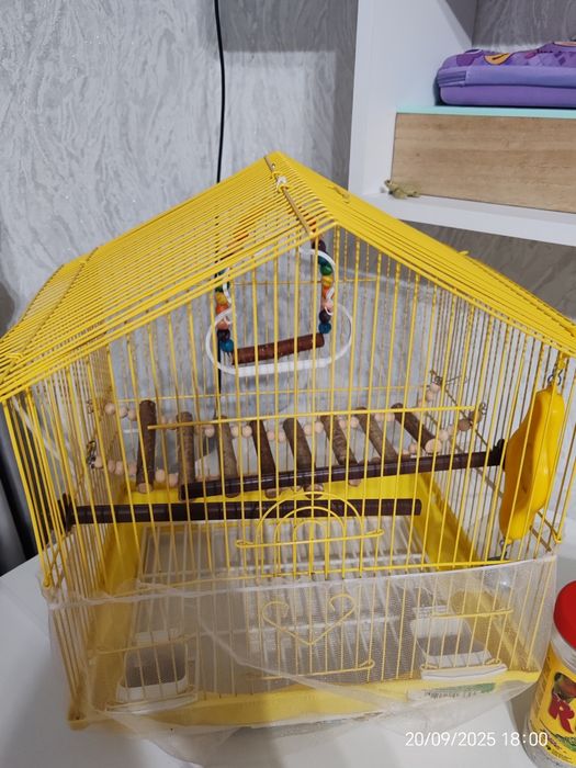 Клетка для попугая!