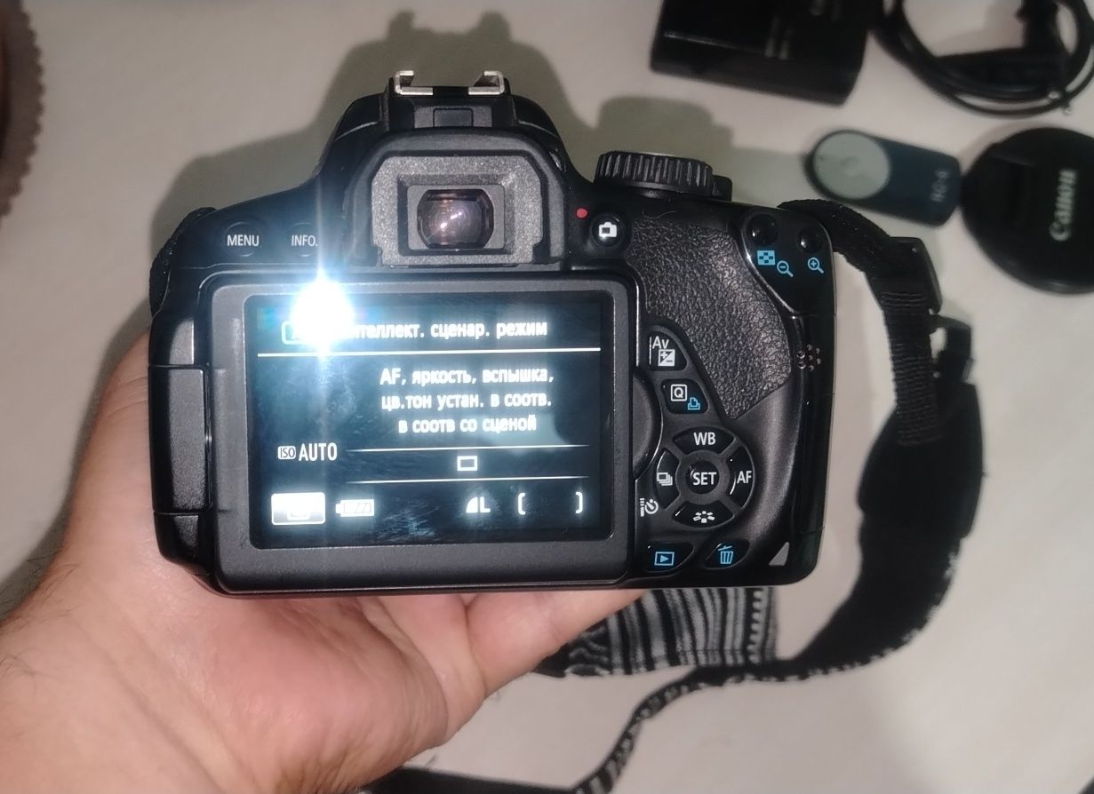 Профессиональный зеркальный фотоаппарат Canon EOS 650D с аксессуарами