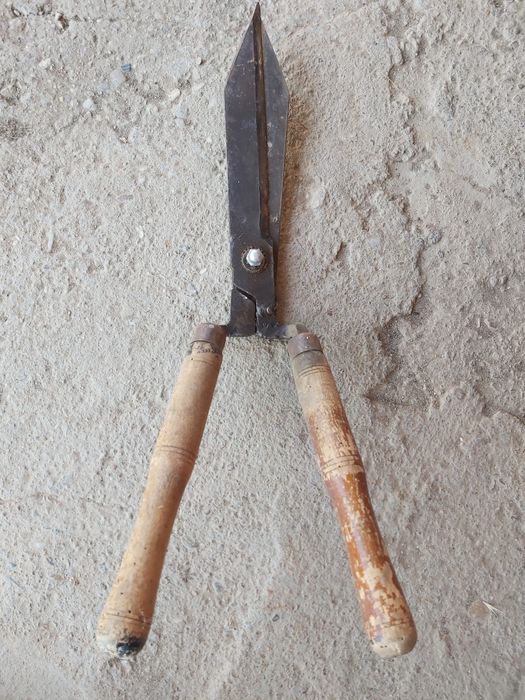 Vand foarfeca de gard viu veche