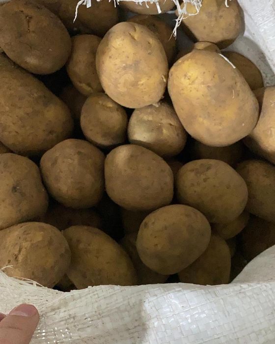 Картофель 120 тнг Морковь 70 тнг