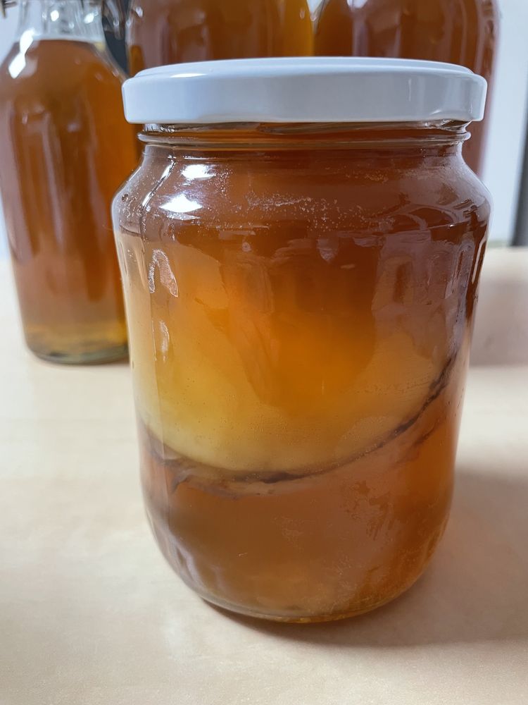 Kit  Kombucha - Ciuperca Scoby + ceai starter