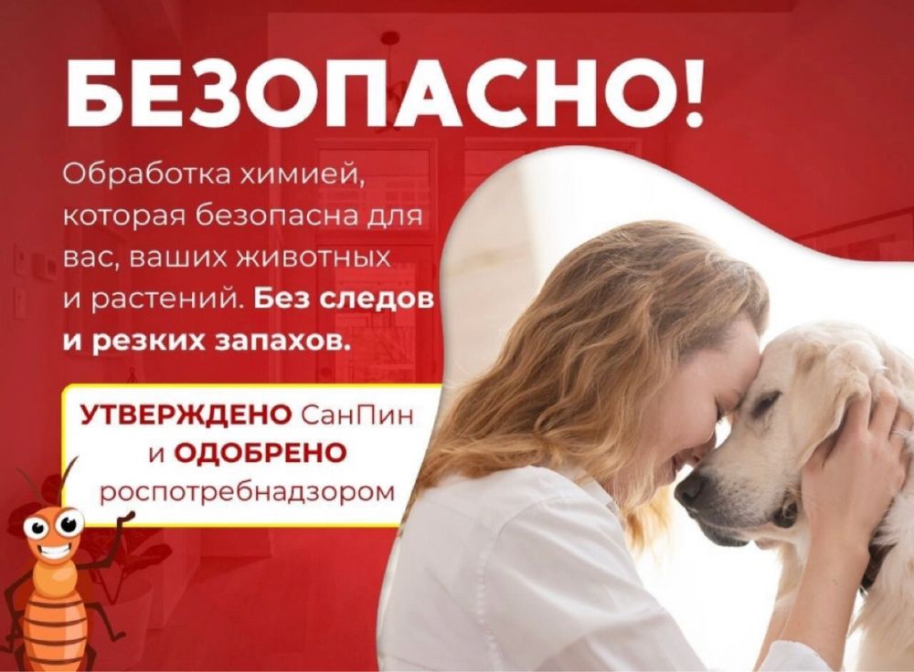 Уничтожение тараканов, клопов, крыс. Дезинфекция Дизифекция