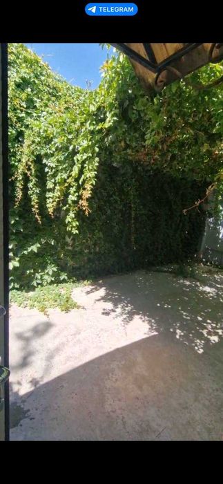 В центре сдаётся  1 комнатная квартира в частном доме.