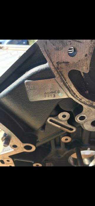 Bloc motor pistoane biele Infinity Rebault cod mot v9x