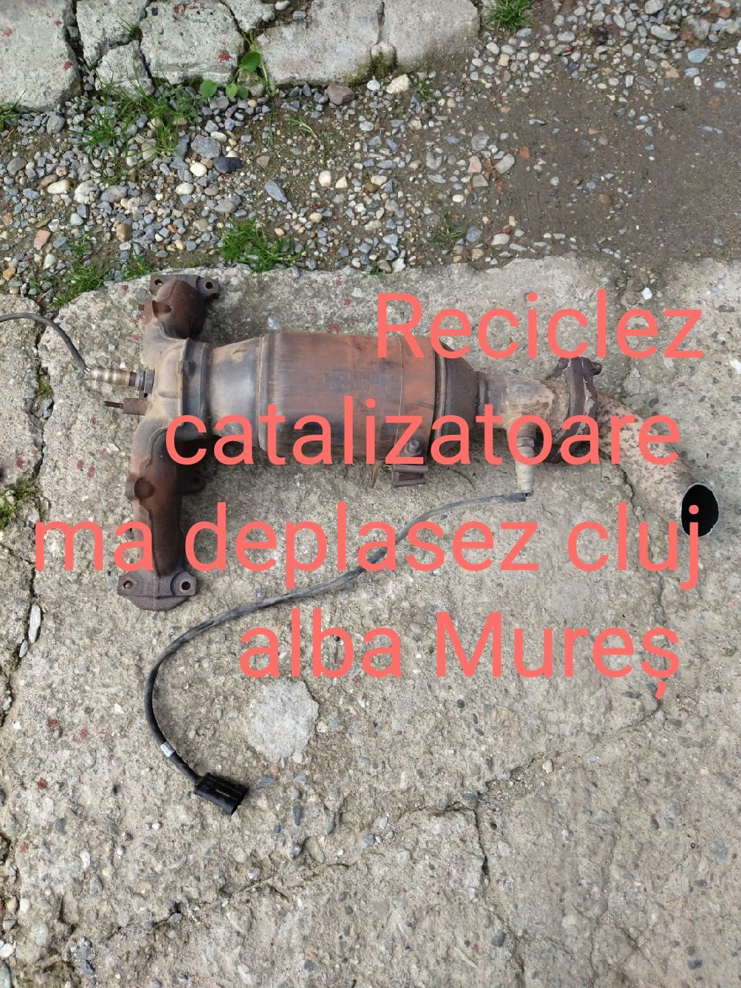 ReciclezCatalizatoare filtre