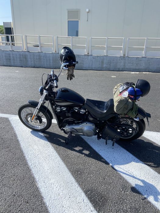 Harley Davidson softail standard