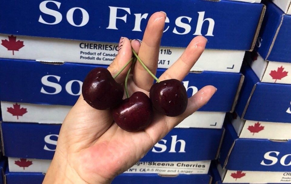 Pomi fructiferi deosebiti  Cires de August soiul  George