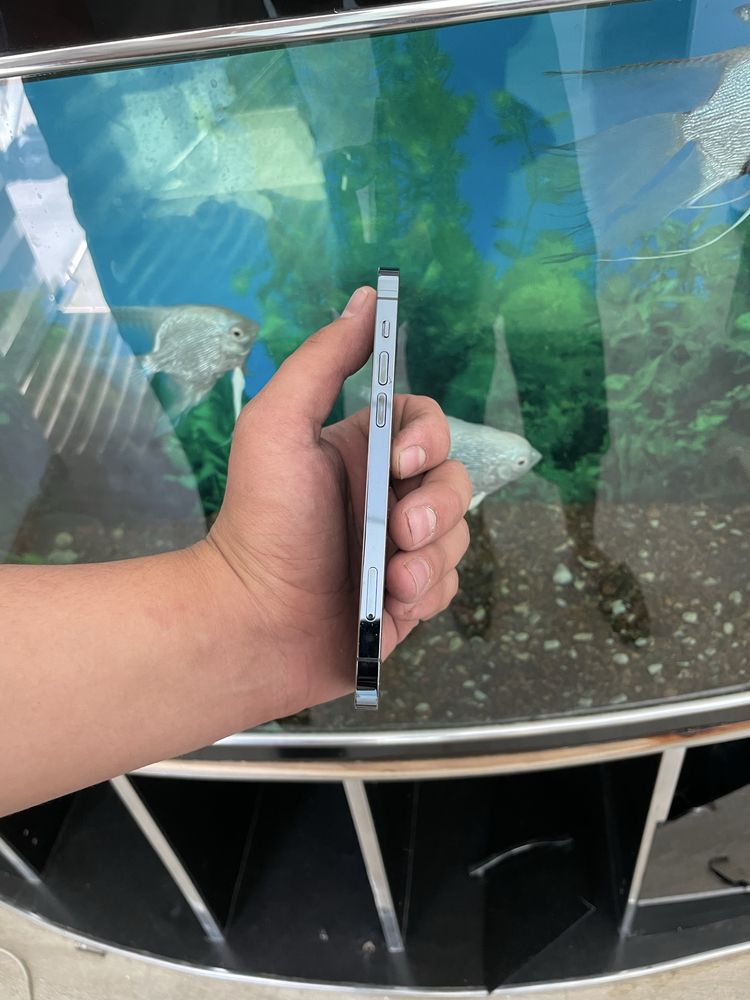 Iphone 12 pro