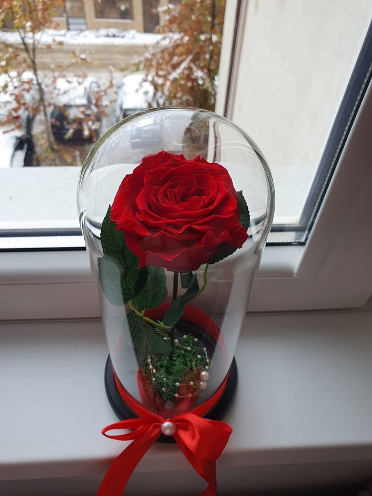 Cupola cu trandafir rosu criogenat