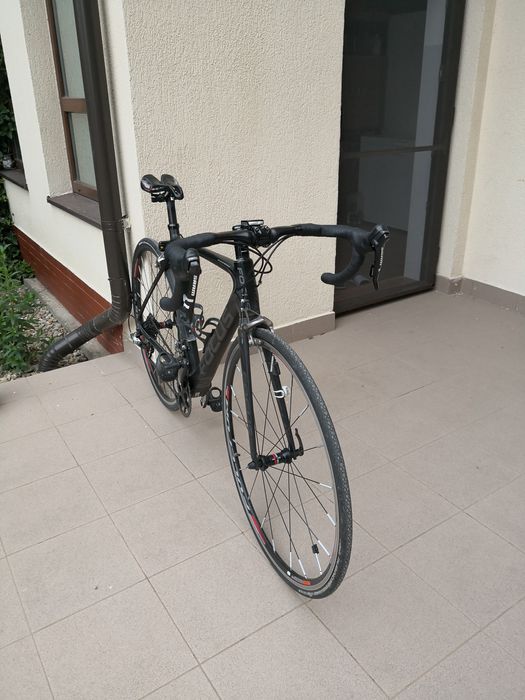 Cursiera carbon Focus