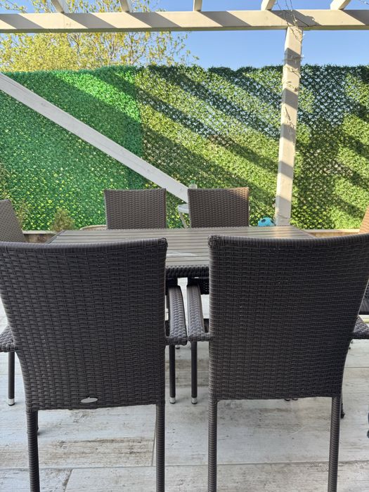 4 scaune, gratuit 4 perne pentru scaune