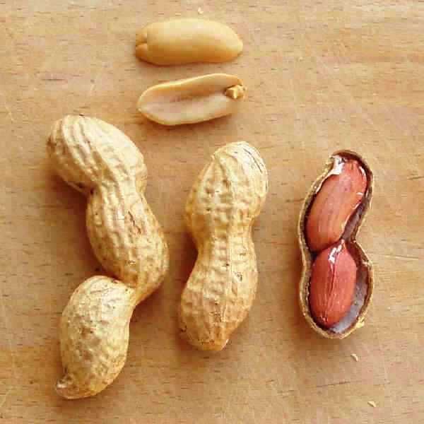 Semințe de alune de pământ - Arahide