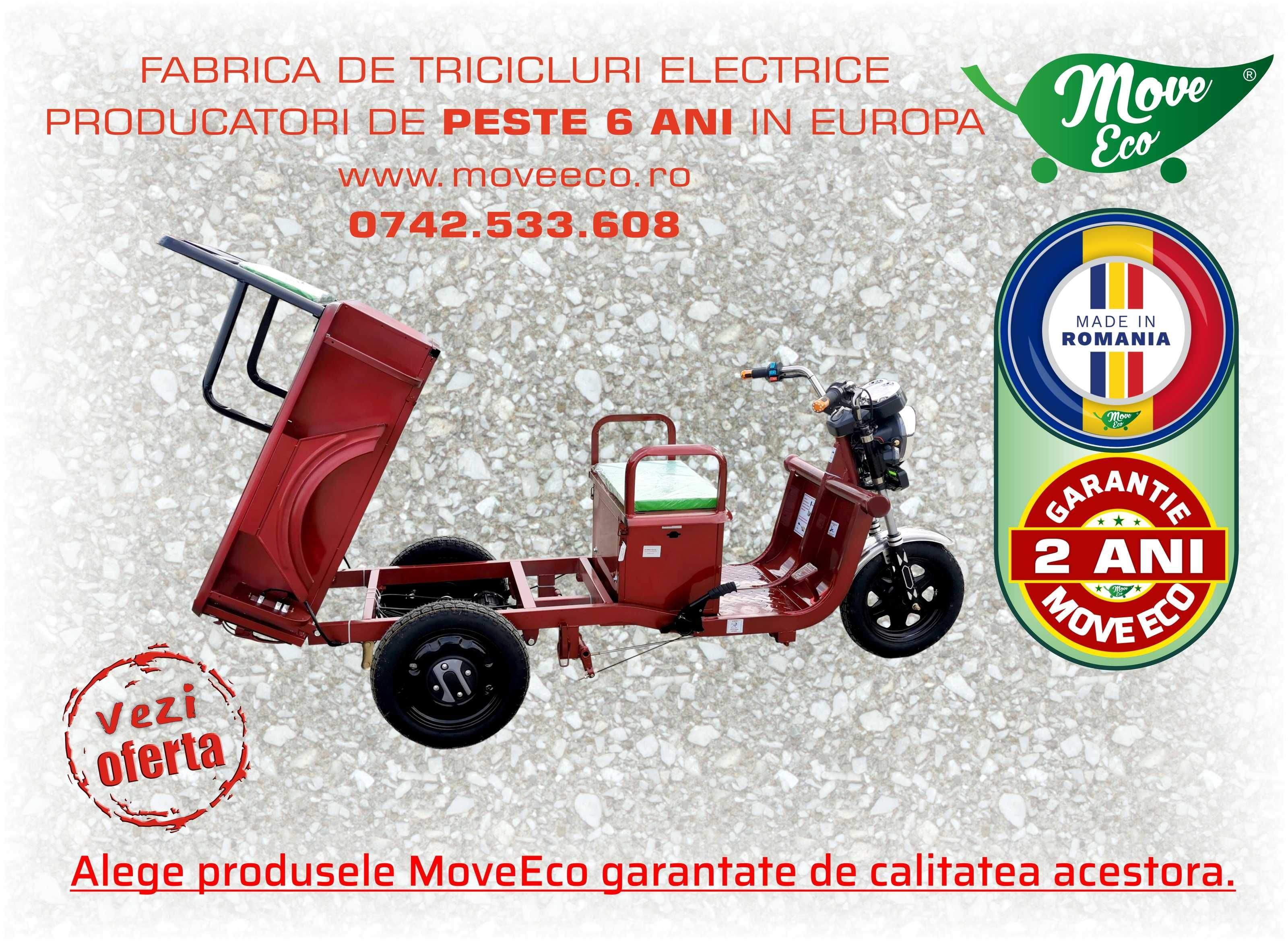 Cargo250-Triciclu Electric Basculabil cu Reductor ECO