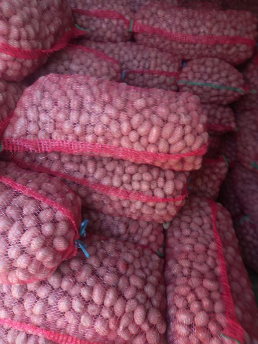 Cartofi mici pentru animale