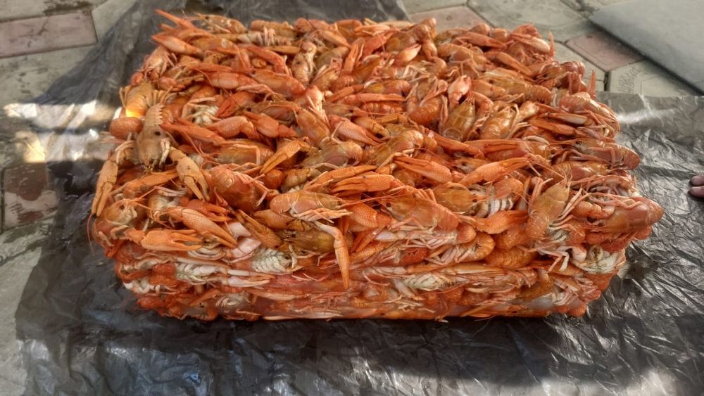 Раки Каспийский крупные