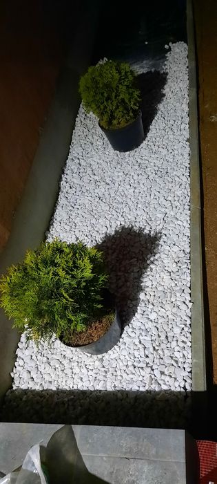 Întrețin spatii verzi, scarificat etc.