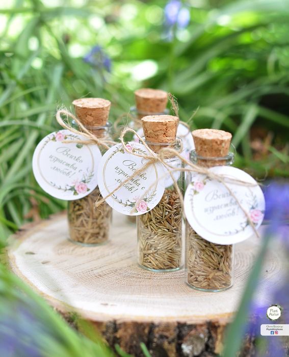 Подаръчета за гости със семена