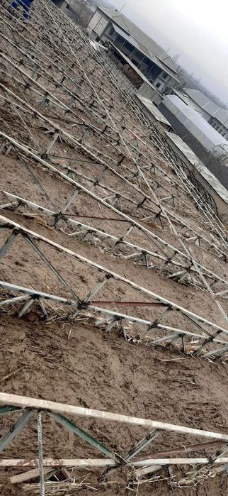 Tom naves qurish xizmatlari