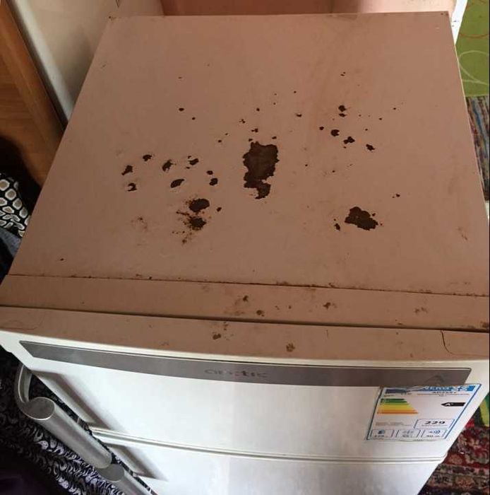 Frigider Arctic AD255+