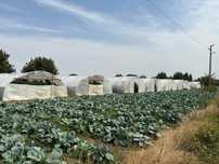 Продавам оранжерии и инвентар