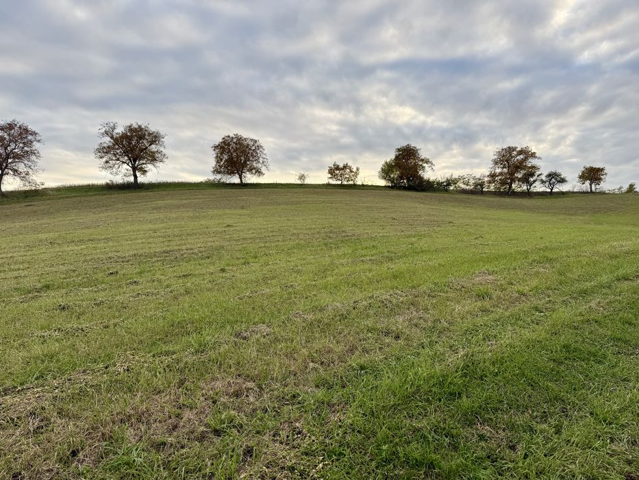 Teren intravilan de vânzare Cojocna