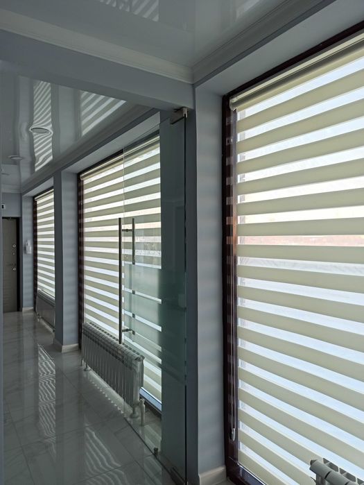 КАЧЕСТВО! СКИДКИ! Рулонные шторы ЗЕБРА от фирмы CLASSIC.