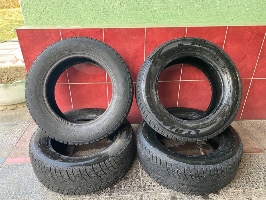 Зимние шины Triangle