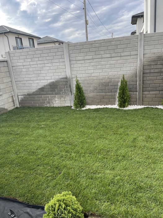 Gazon rulou supersport