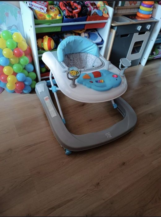 Паяк -проходилка