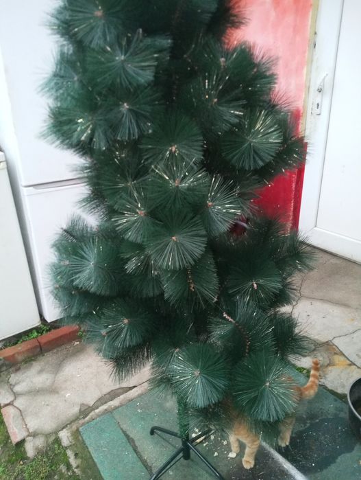 Коледна Елха..елха