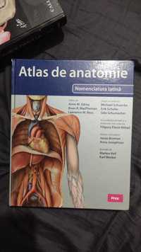 Atlas de anatomie in latina nefolosit Prior