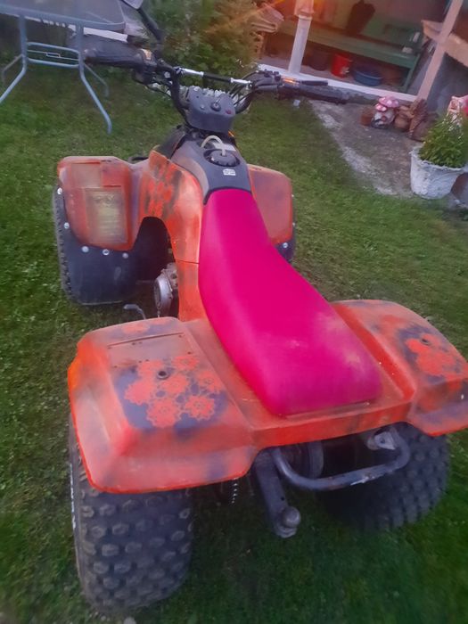 Suzuki quadrunner