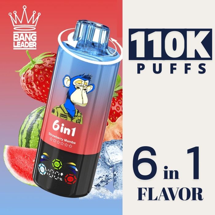 Bang Leader 110K Puffs 6 in 1