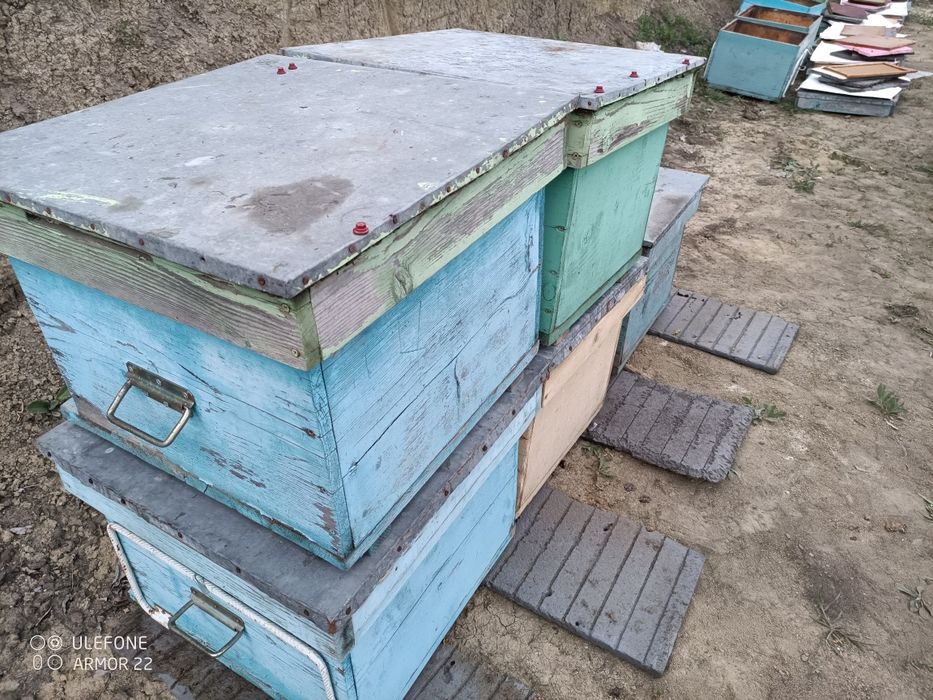 Stupi 12 rame albine