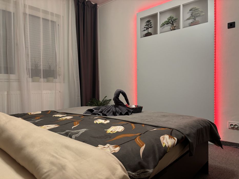 Cazare Arad apartament 2 camere