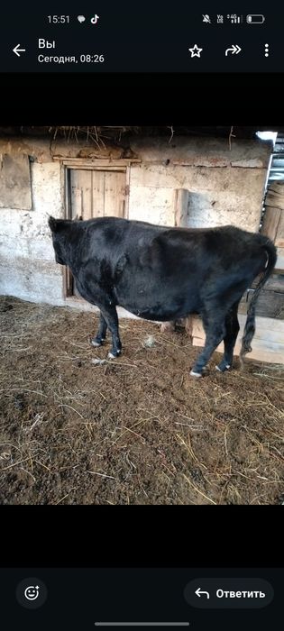 Dhdhdhffhfhffufuffufu