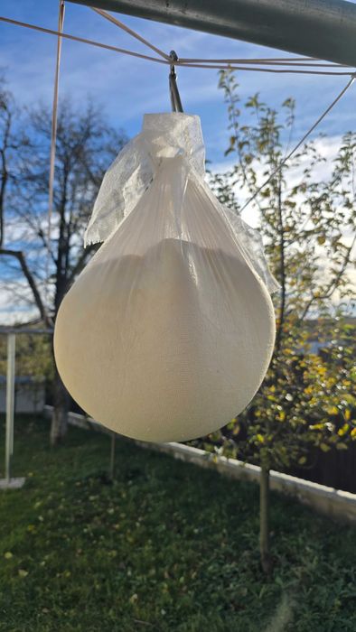 Vând caș proaspăt de vacă