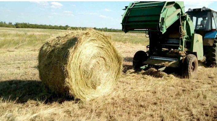 Продам сено с доставкой