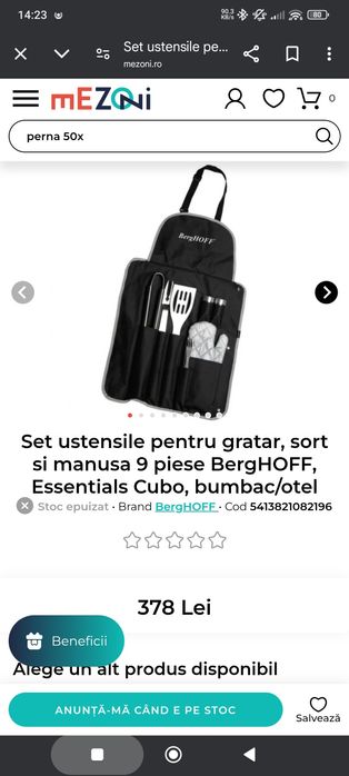 Set Grătar Profesional (Ustensile, Accesorii grătar)