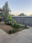 Лимонарий Карамурт 4 сотки