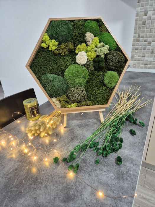 Tablouri hexagonale  muschi si licheni