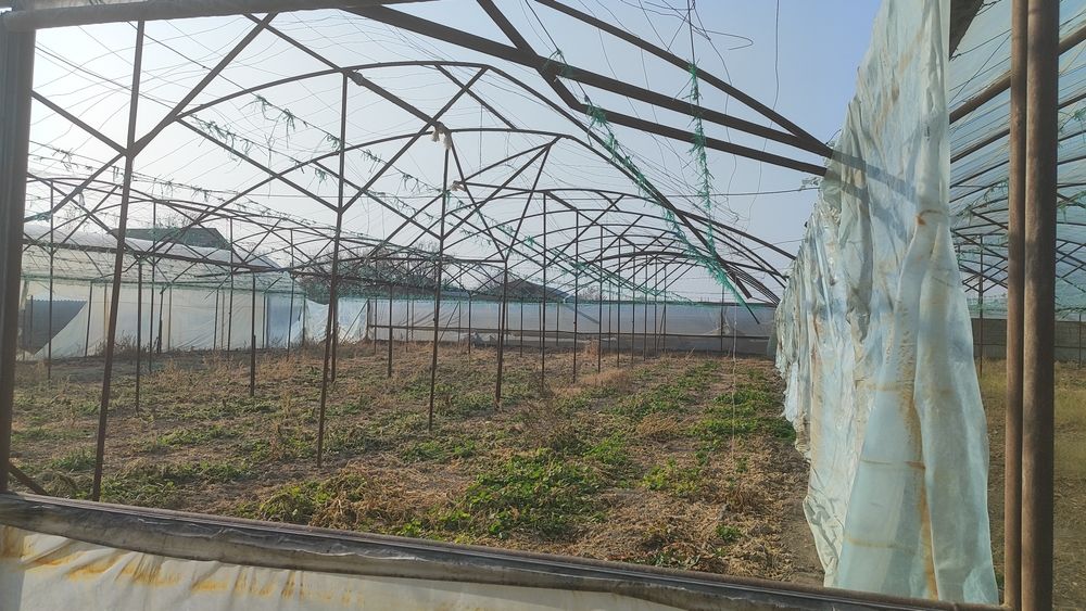 Теплица Жылыжай сатылады