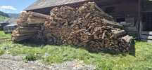 Vindem legături resturi de lemn rășinoase